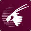 Qatar Air